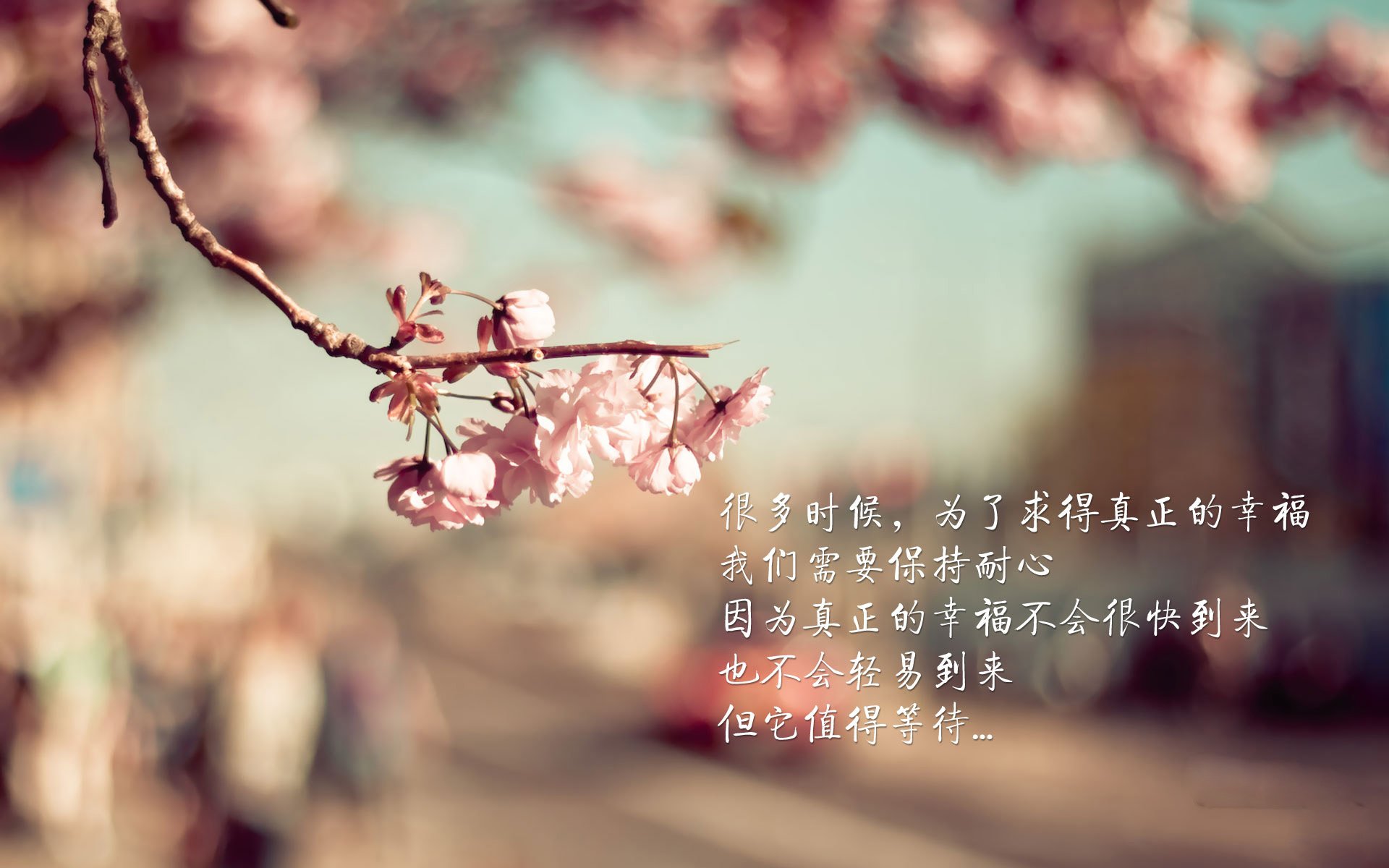 “中超再迎引援高峰,各大豪门备战新赛季”,中超引援最新消息2021