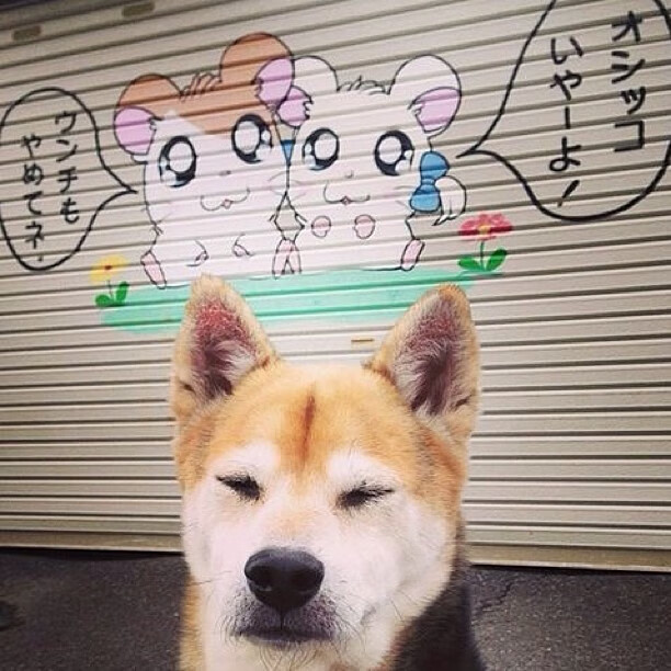 大数据分析：数据帮你看懂比赛战局，赛事数据分析